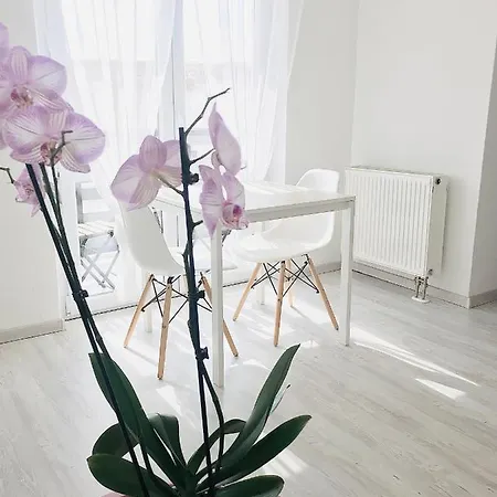 Belvarosi Appartement